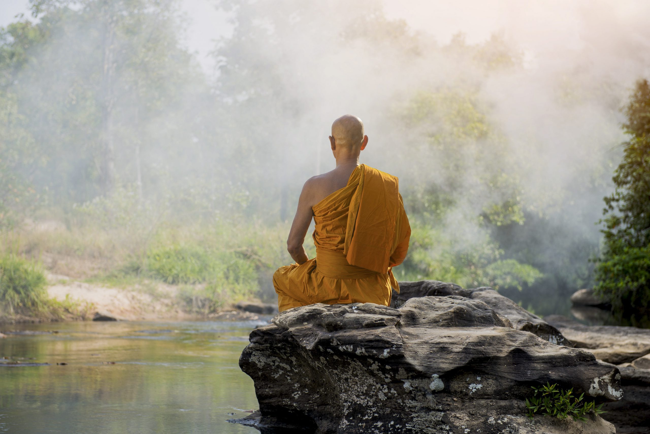 Wise Meditation – How Mindfulness Can Make You More Wise